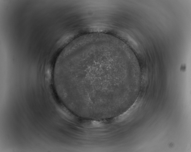 X0000102480166200808221715