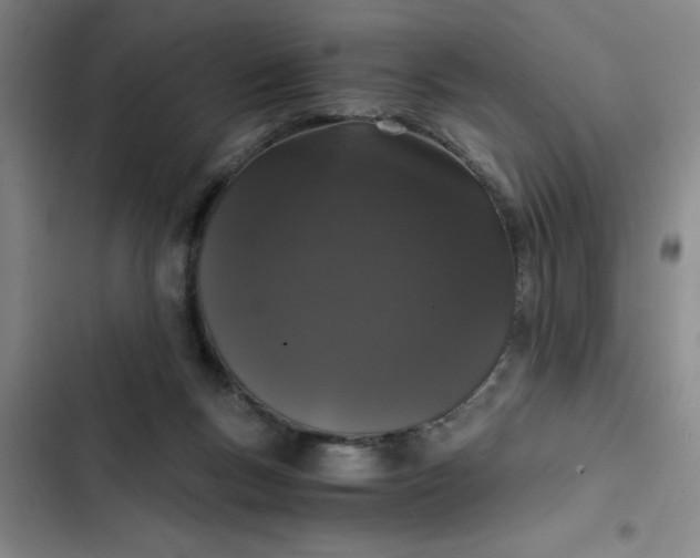 X0000102480167200808221715