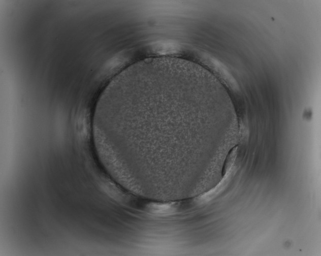 X0000102480170200808221715