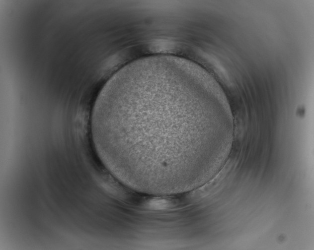 X0000102480171200808221715