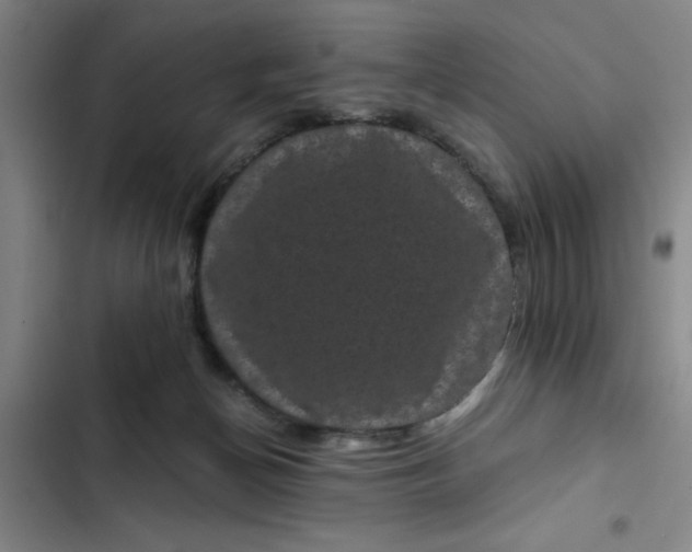 X0000102480174200808221715