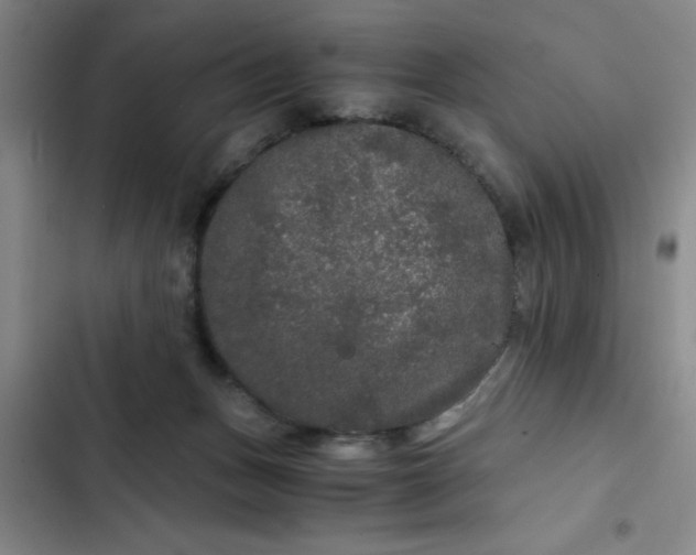 X0000102480175200808221715