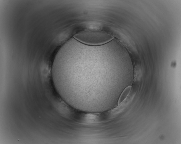 X0000102480176200808221715