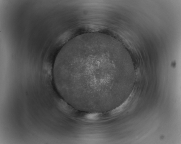 X0000102480178200808221715