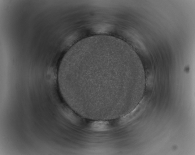 X0000102480179200808221715