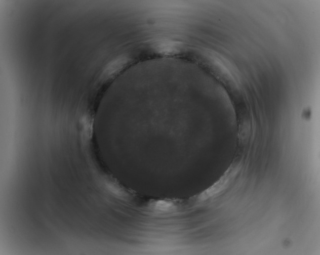 X0000102480180200808221715