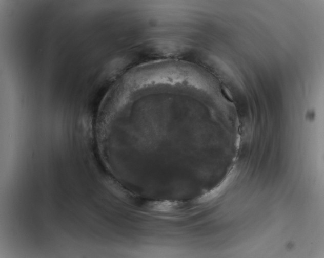 X0000102480182200808221715