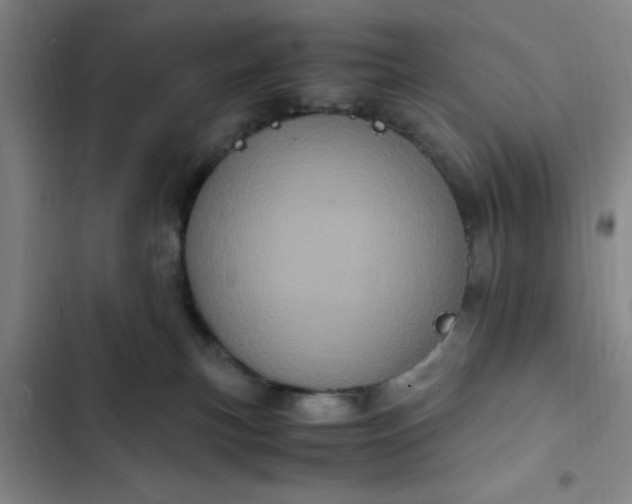 X0000102480183200808221715