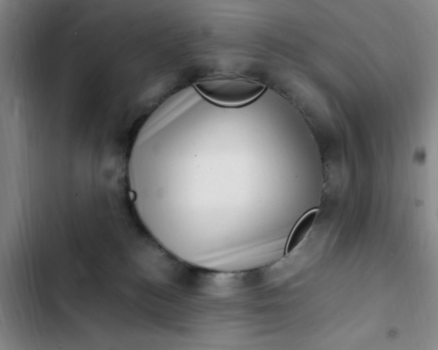 X0000102480184200808221715