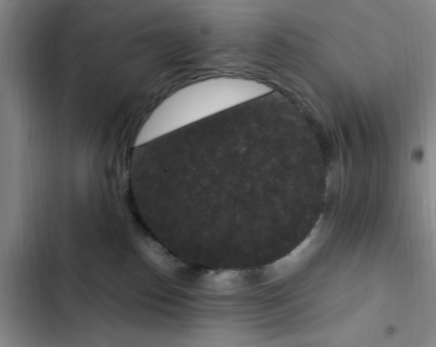 X0000102480186200808221715