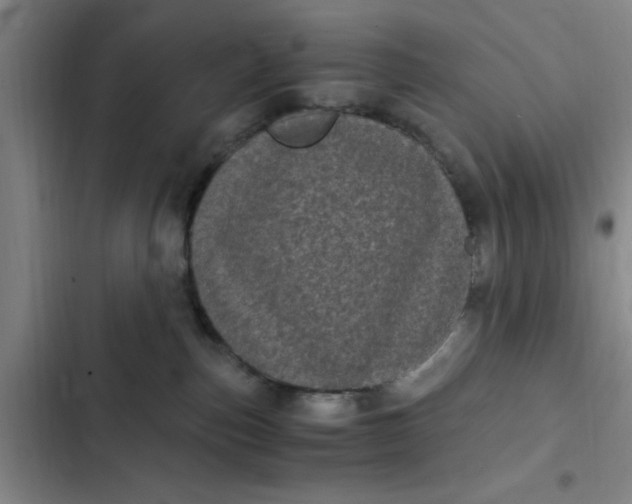 X0000102480187200808221715