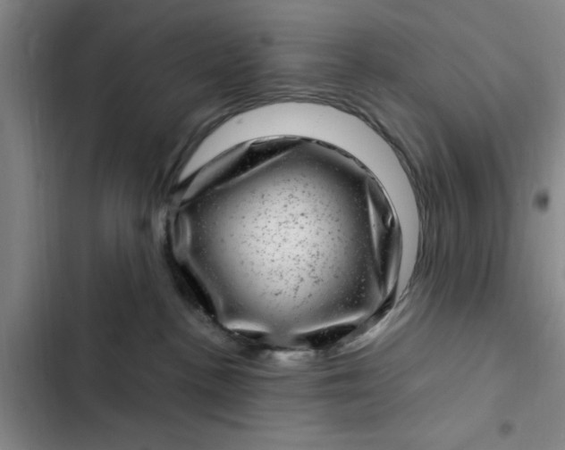 X0000102480188200808221715