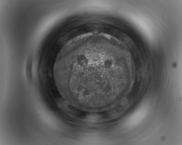 X0000102480189200808221715