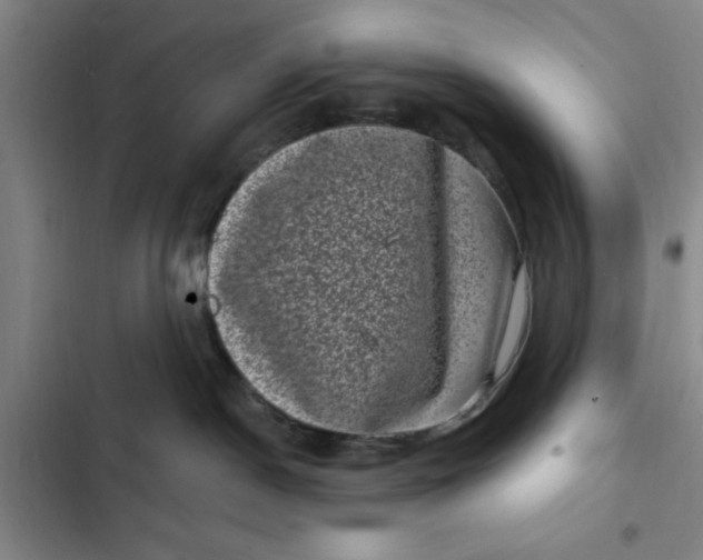 X0000102480190200808221716