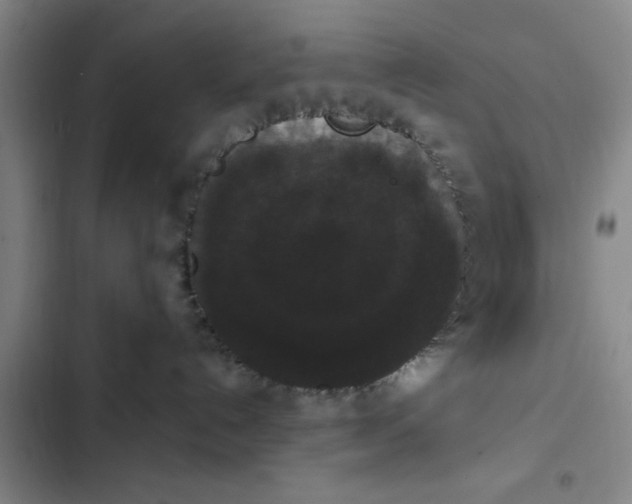 X0000102480192200808221716