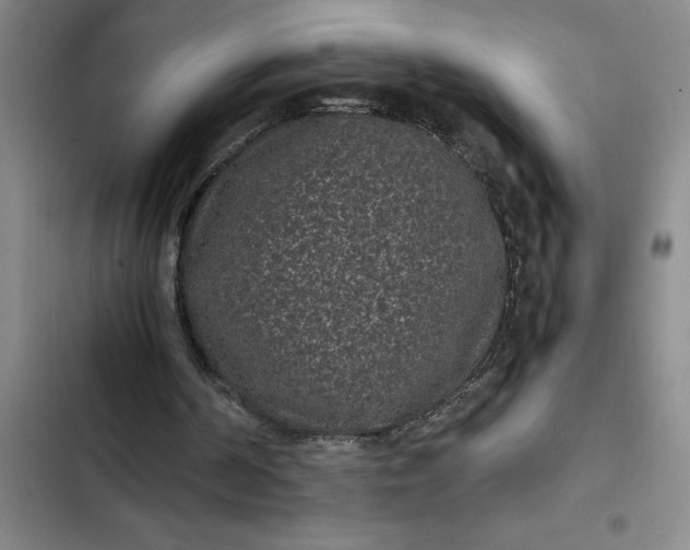 X0000102480194200808221715