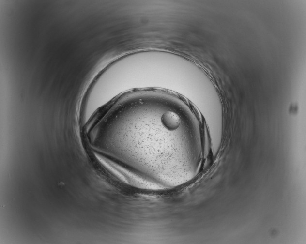 X0000102480195200808221715