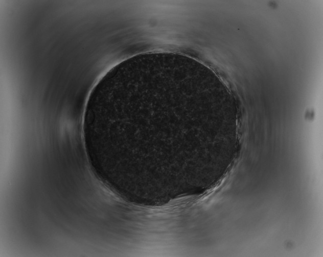 X0000102480196200808221715