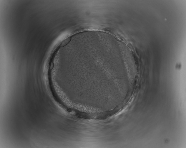 X0000102480197200808221715