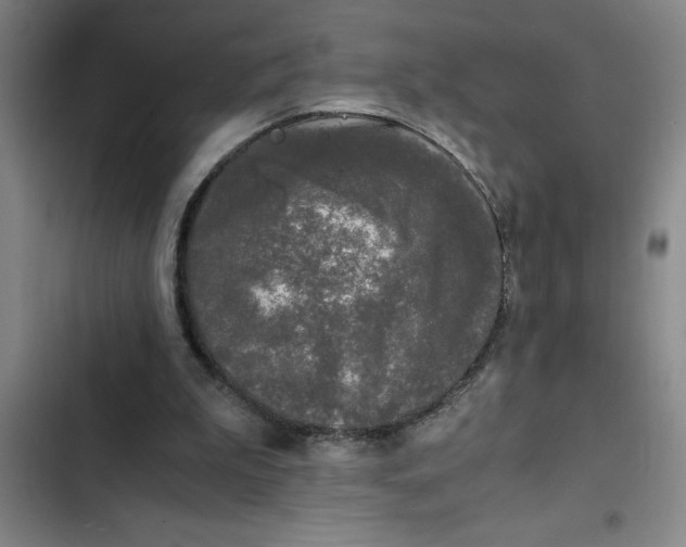 X0000102480199200808221715