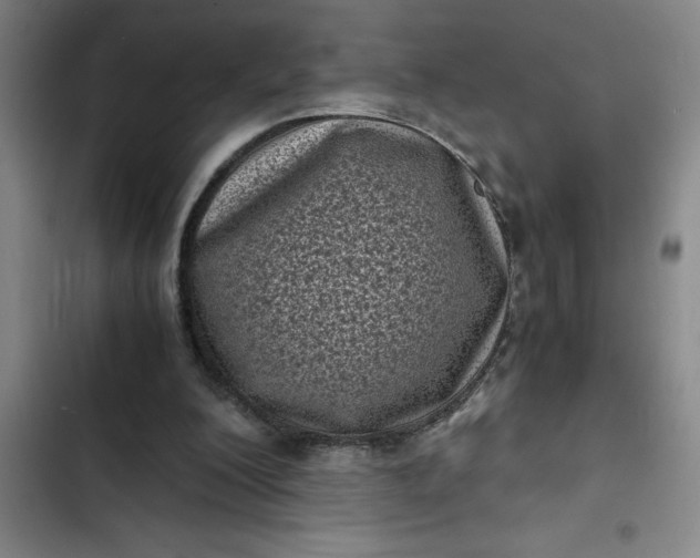 X0000102480200200808221715