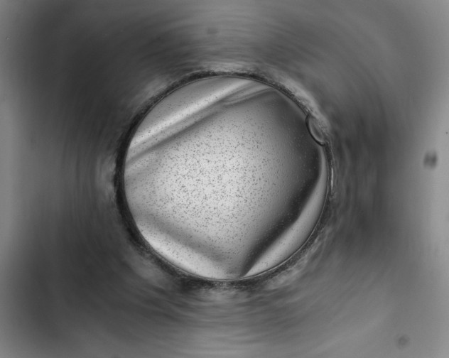 X0000102480201200808221715