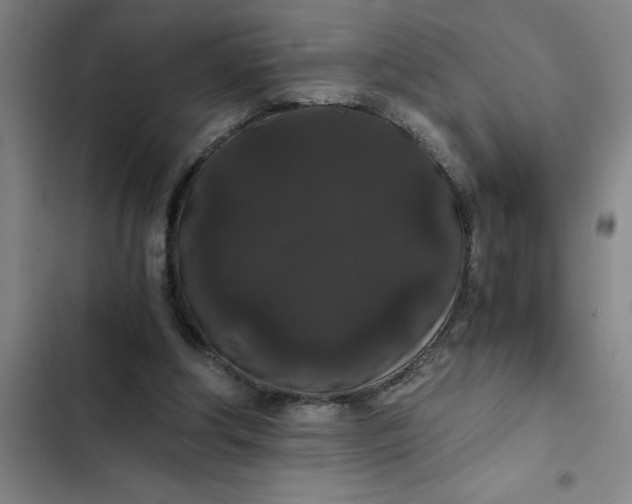 X0000102480202200808221715