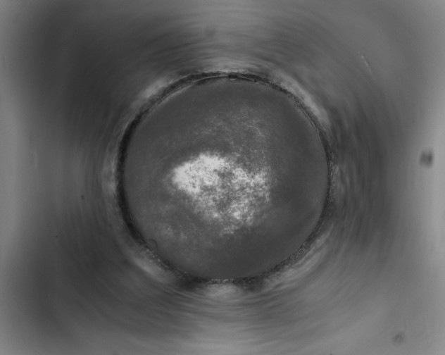 X0000102480203200808221715