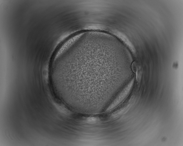 X0000102480204200808221715