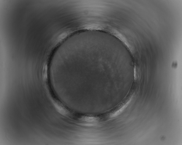 X0000102480205200808221715