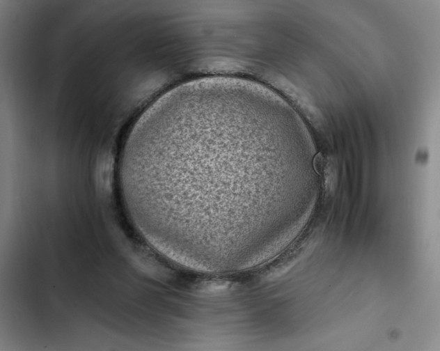 X0000102480206200808221715