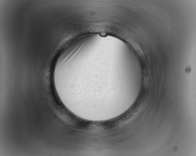 X0000102480207200808221715