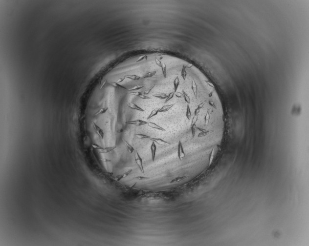 X0000102480208200808221715