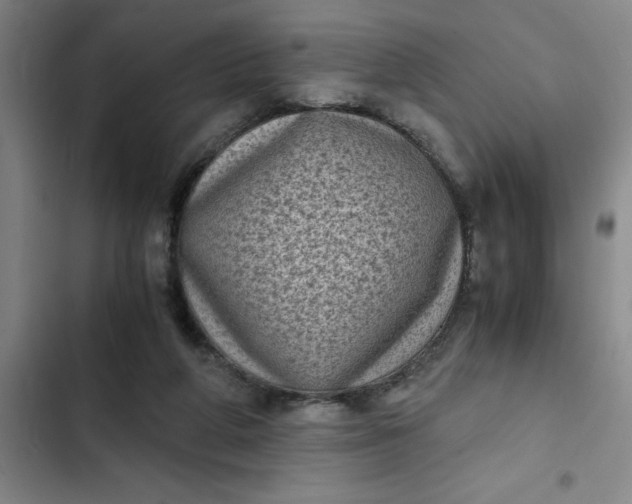 X0000102480210200808221715