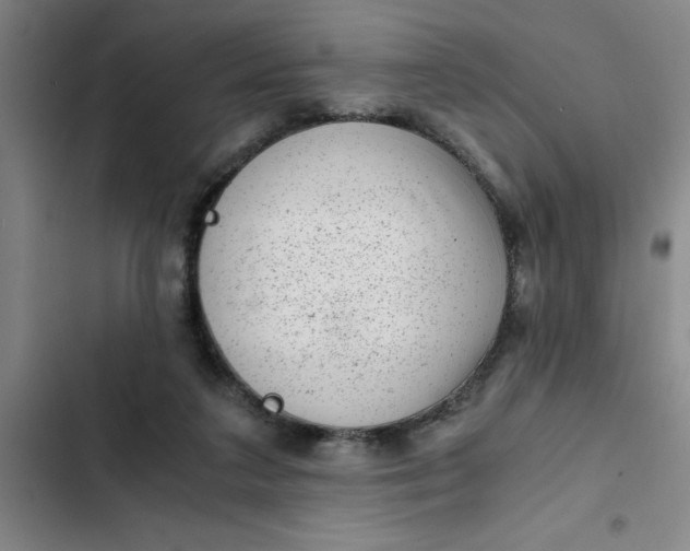 X0000102480211200808221715