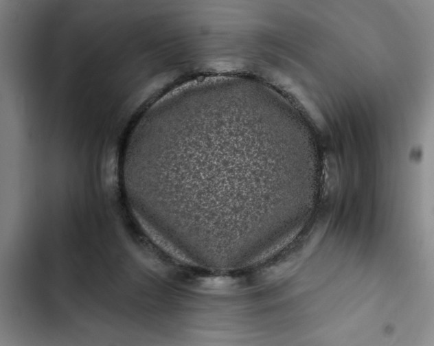 X0000102480212200808221715