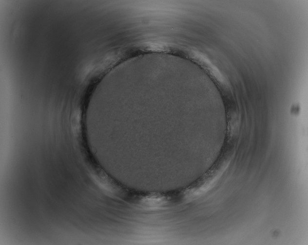 X0000102480213200808221715