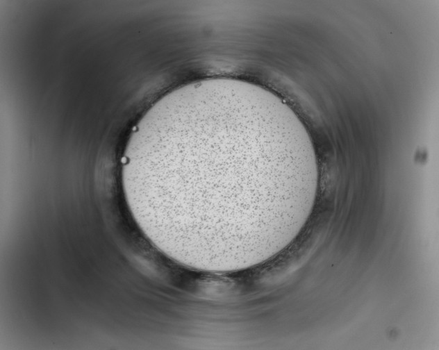 X0000102480215200808221715