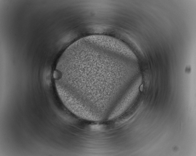 X0000102480216200808221715