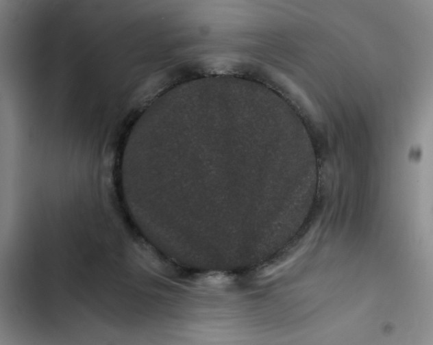 X0000102480217200808221715