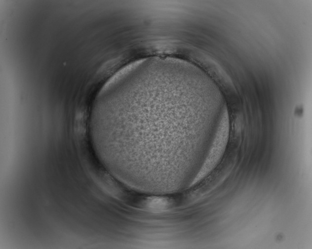 X0000102480218200808221715