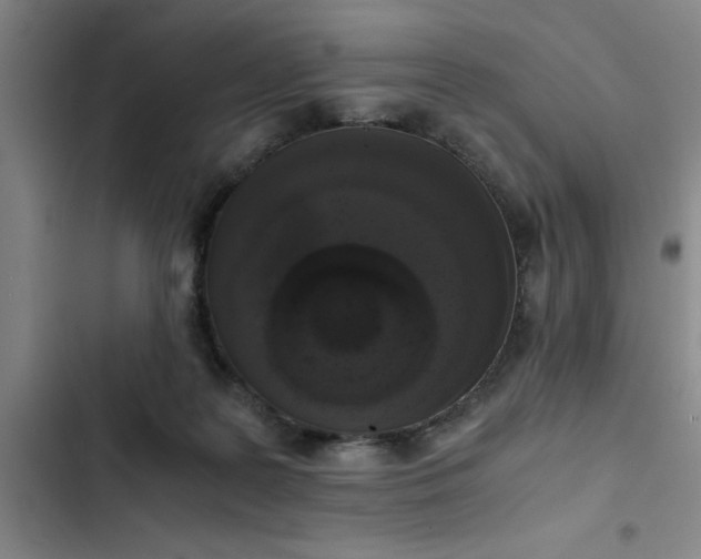 X0000102480219200808221715