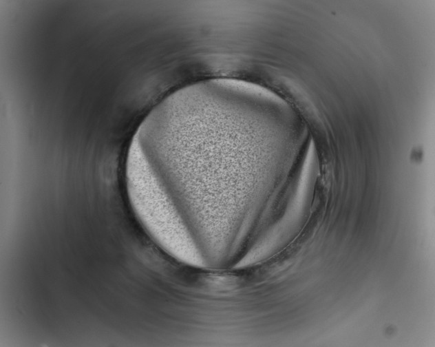 X0000102480221200808221714