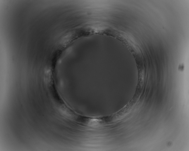 X0000102480222200808221714