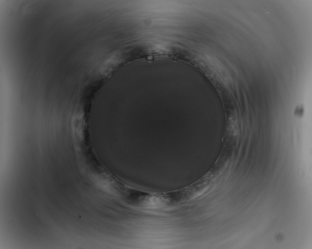 X0000102480223200808221714