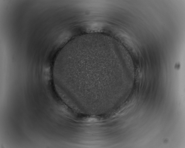 X0000102480224200808221714