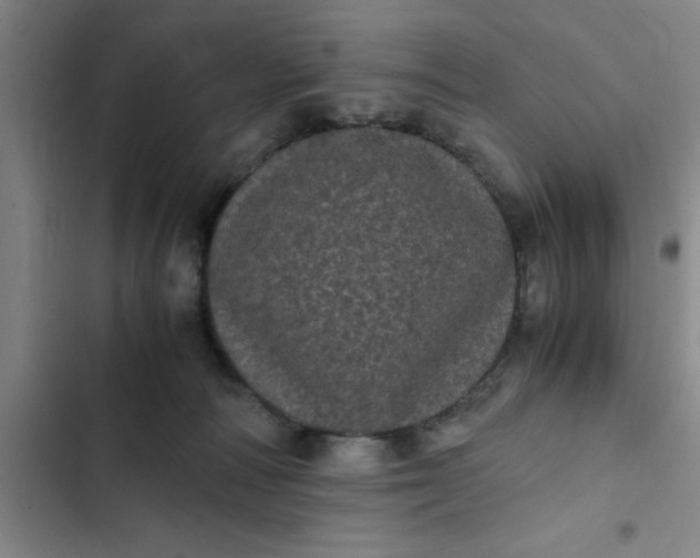 X0000102480226200808221714