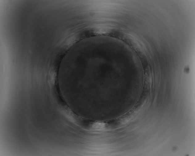 X0000102480227200808221714