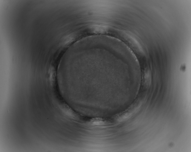 X0000102480228200808221714