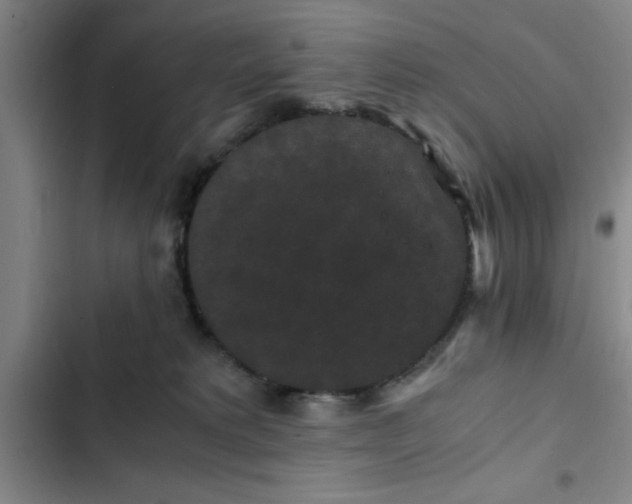 X0000102480229200808221714